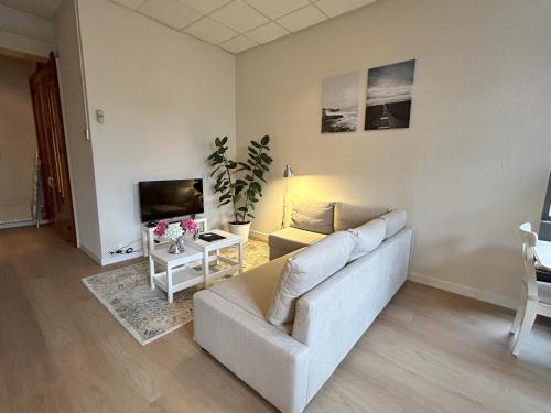 TV a/nebo společenská místnost v ubytování Cozy independent Studio S2, City Centre Dordrecht