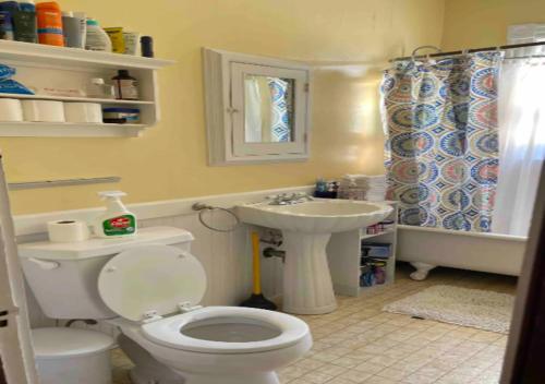 a bathroom with a toilet and a sink at Spacious 2 Bed 1 Bath In Mid West in New York