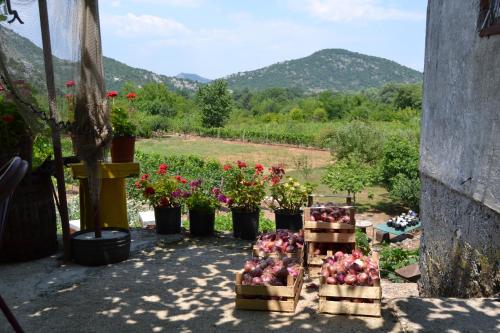 a bunch of flowers and plants in boxes on a patio at Guesthouse Feel Lake in Virpazar