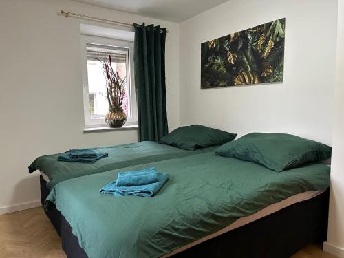 Un dormitorio con una cama con sábanas verdes y una ventana en Neu Ⅰ Ⅰ 2-Zimmer Ⅰ Zentrumslage Ⅰ Schwabach Ⅰ Nürnberg Ⅰ Roth, en Schwabach