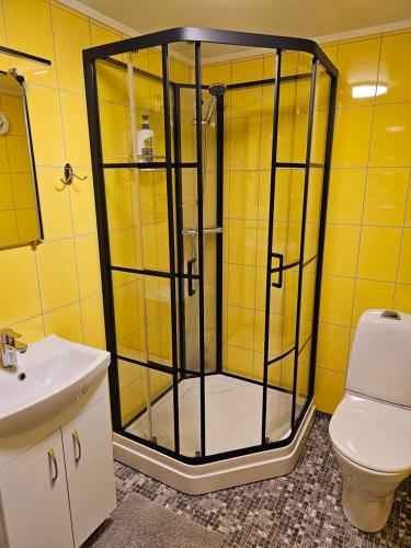 bagno con doccia e servizi igienici. di Apartment at Lofoten. Mølnarodden. a Sund