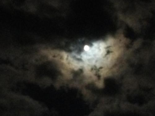 Φωτογραφία από το άλμπουμ του Noclegi Żurawin σε Lutowiska