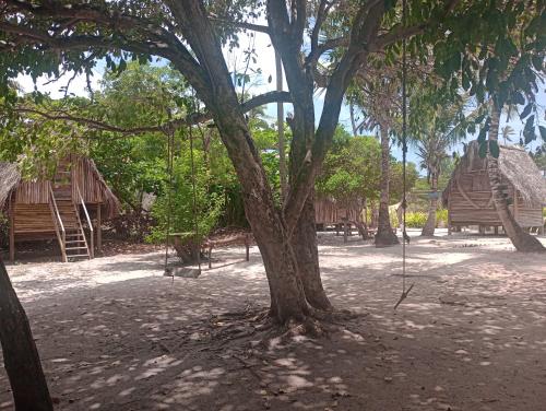 a tree with a swing in front of some huts at Cabana família coruja in Camaçari