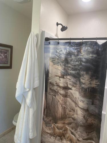 a bathroom with a shower with a painting on the wall at Bryce Canyon Country Inn in Tropic