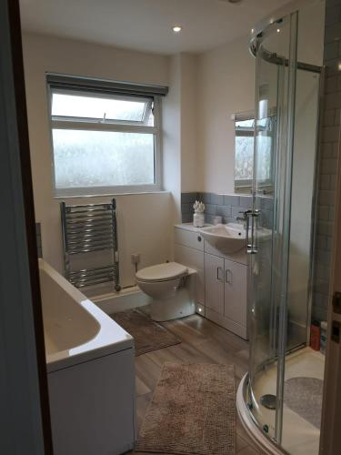a bathroom with a shower and a toilet and a sink at Cornish Coastal Bungalow in Padstow