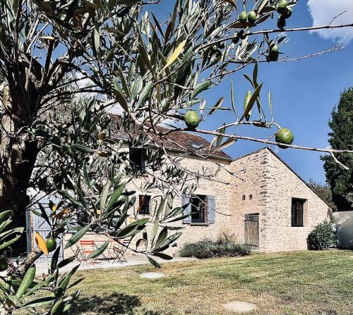 a stone house with a tree in front of it at Le Clos de L'Olivier in Chaintreaux