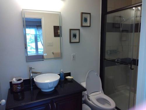 ein Bad mit einem WC, einem Waschbecken und einer Dusche in der Unterkunft Guest house with Moroccan style in Gatineau 15 min from heart of Ottawa in Gatineau