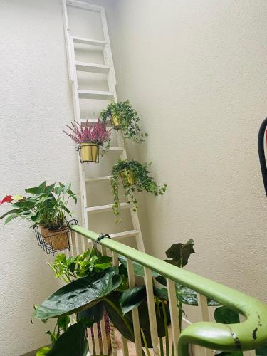 Gallery image of Appartement Ostend in Ostend