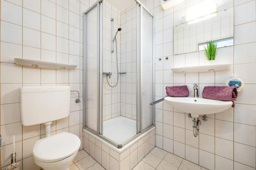 a bathroom with a shower and a toilet and a sink at Apartment Mitterdorf in Mitterfirmiansreut