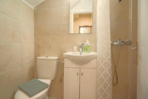 a bathroom with a toilet and a sink and a shower at Itea Studio in Itea