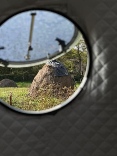a view of a rear view mirror of a bird at The Frog Glamping in Horezu
