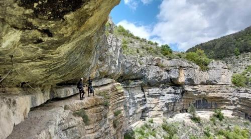 Природа в окрестностях апартаментов/квартиры