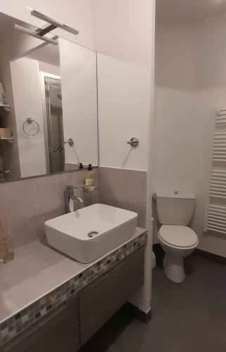une salle de bain avec un lavabo blanc et des toilettes dans l'établissement Le Gite de Maminou classé 3 étoiles, à Saint-Julien-en-Beauchêne