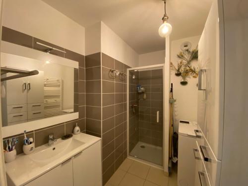 une salle de bain avec douche et lavabo dans l'établissement Appartement proche des pistes Serre Chevalier, à Briançon