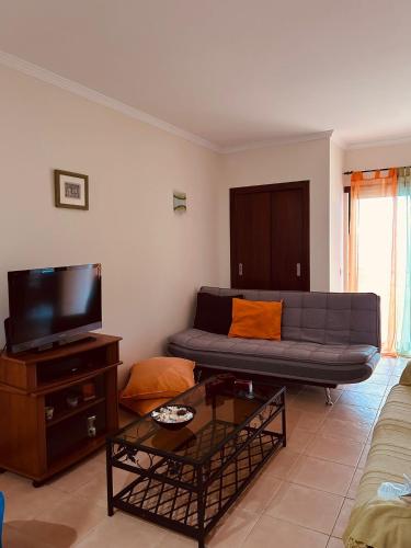 a living room with a couch and a tv at Apartment Salgados T1 in Guia