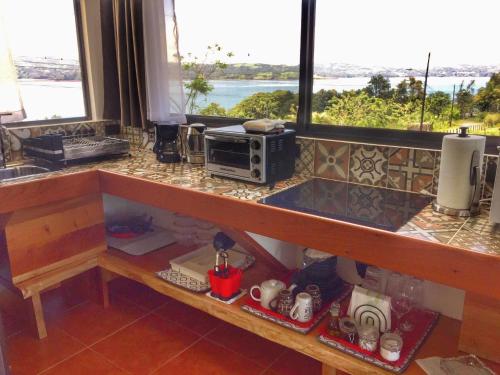 un comptoir de cuisine avec un four micro-ondes et une fenêtre dans l'établissement The Fruit Tree Garden Bromeliad Suite, à Nuevo Arenal
