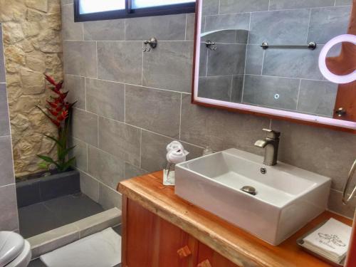 La salle de bains est pourvue d'un lavabo et d'une douche. dans l'établissement The Fruit Tree Garden Bromeliad Suite, à Nuevo Arenal