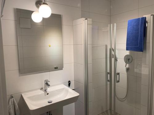a bathroom with a sink and a shower with a mirror at Ferienwohnung Gergert Nr6 in Löwenstein