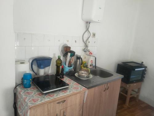 a kitchen with a sink and a counter top at Warm and comfortable apartment in Subotica