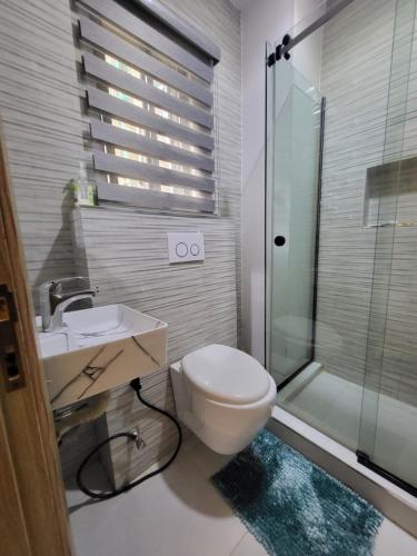 a bathroom with a toilet and a shower and a sink at Ikoyi/Banana Studio Room in Lagos