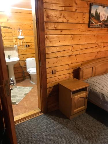 a room with a bathroom with a toilet and a sink at Trembita готель in Yablunytsya