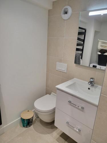 ein Badezimmer mit einem WC, einem Waschbecken und einem Spiegel in der Unterkunft Studio 2 personnes équipé in Vignac