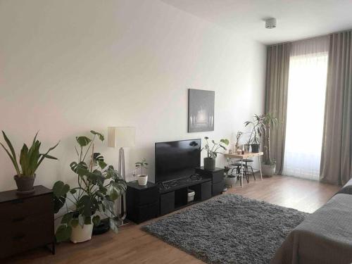 a living room with a flat screen tv and plants at Fleck Apartment 1 in Trenčín