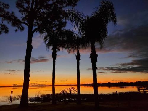 a group of palm trees in front of a sunset at Camp St. Cabanas Unit 2 on Lake Dora in Tavares