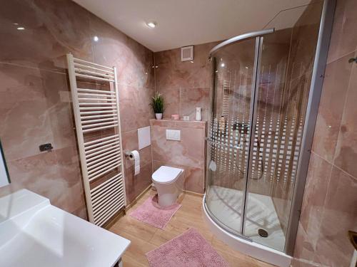 a bathroom with a shower and a toilet and a sink at Apartmán Stará Sásová in Banská Bystrica