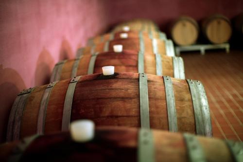 a row of wine barrels in a room at Valle di Assisi Country Apartments in Assisi