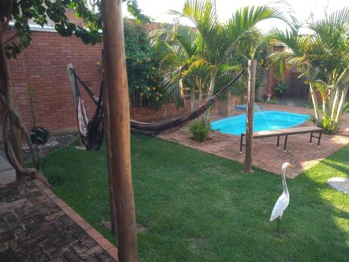 a bird standing in a yard with a hammock and a pool at Casa ecológica temporada in Olímpia