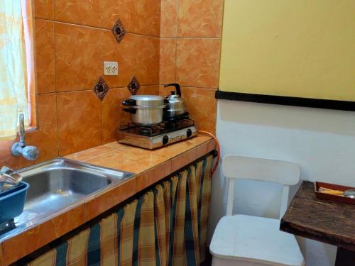 a kitchen with a sink and a pot on a stove at Casa del Gringo in Cieneguilla