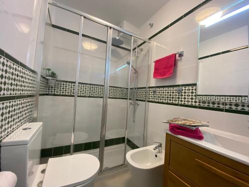 a bathroom with a shower and a toilet and a sink at CASA TORRE Y MAR with 2 bedrooms swimming pool grill & garden & solarium in Torrevieja