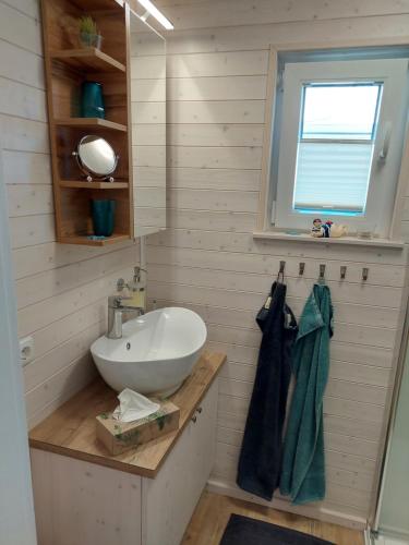 y baño con lavabo y espejo. en Hausboot Hecht, en Egernsund