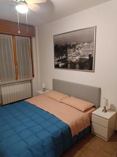 um quarto com uma cama e uma fotografia na parede em la casina accogliente em Pisa