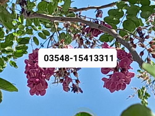 Galeriebild der Unterkunft Llanten Dorado Cabañas in Villa Giardino