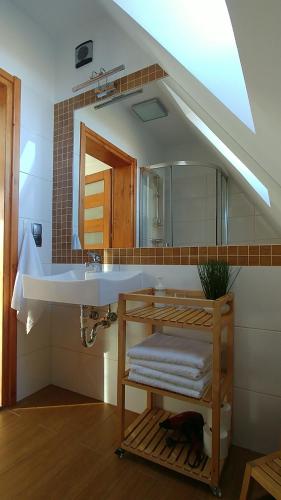 a bathroom with a sink and a mirror at Domki Białka & Apartamenty in Białka Tatrzańska