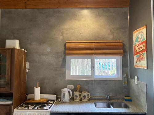 Cuina o zona de cuina de Botanico