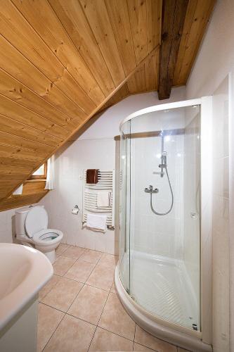 a bathroom with a shower and a toilet at Mlýn Kamenice in Klučenice