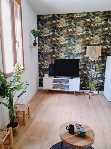 Televízia a/alebo spoločenská miestnosť v ubytovaní Le Jungle Appart, centre ville Narbonne