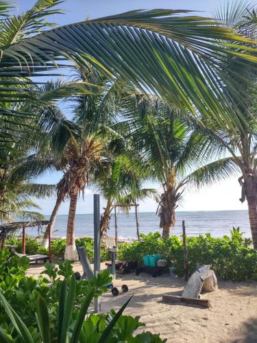 a sandy beach with palm trees and the ocean at Lunazul Eco-Cabaña Frente al Mar in Mahahual