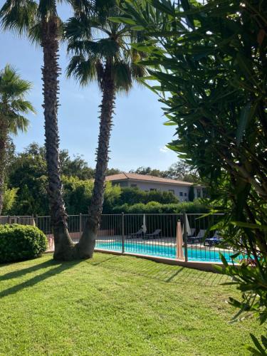 una piscina con palme in un cortile di Maison SAINTE LUCIE DE PORTO-VECCHIO a Sainte-Lucie de Porto-Vecchio