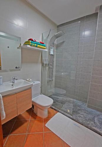 a bathroom with a shower and a toilet and a sink at InHome Apartment in Cabo Negro