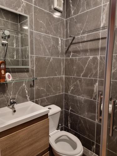 a bathroom with a toilet and a sink at Moorepark West House in Fermoy