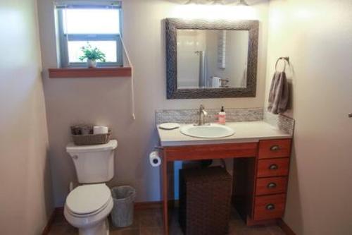 a bathroom with a toilet and a sink and a mirror at Charming Hideaway Overlooking The Astoria Waters in Astoria, Oregon