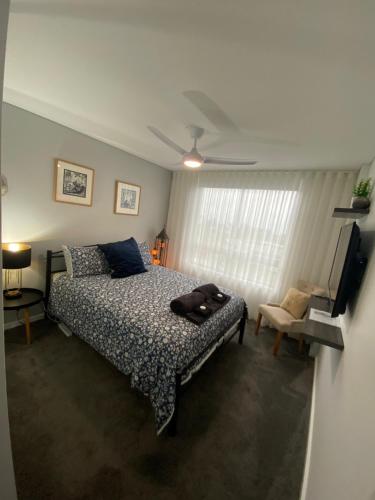a bedroom with a bed and a ceiling fan at Guesthouse, read about the host before booking please in Wollongong