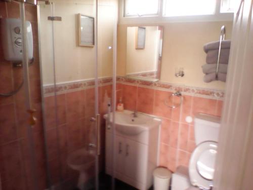 a bathroom with a toilet and a shower and a sink at country retreat by the sea in Bessingby