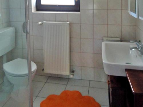 a bathroom with a toilet and a sink at Ferienhaus am Klostergrund in Malchow