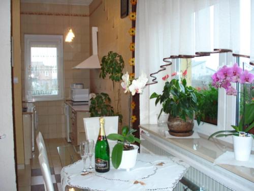 - Cocina con mesa y botella de champán en Pokoje Gościnne IRGA Apartamenty, en Starogard Gdański