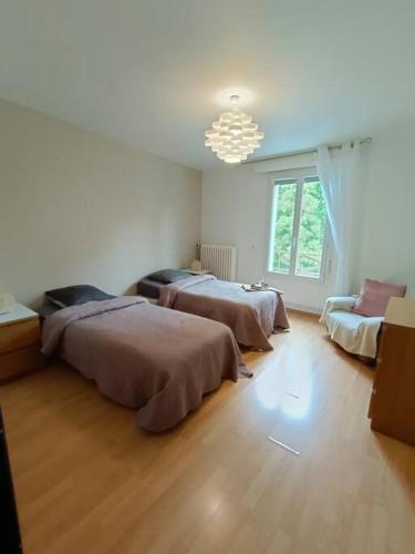 une chambre avec deux lits et un lustre dans l'établissement Gite BA2 Epernay Centre vue sur parc, à Épernay